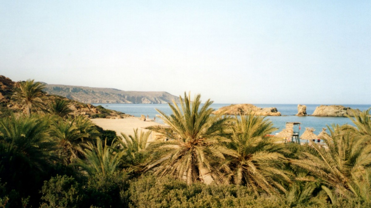 Discover the Enchanting Vai Palm Tree Beach